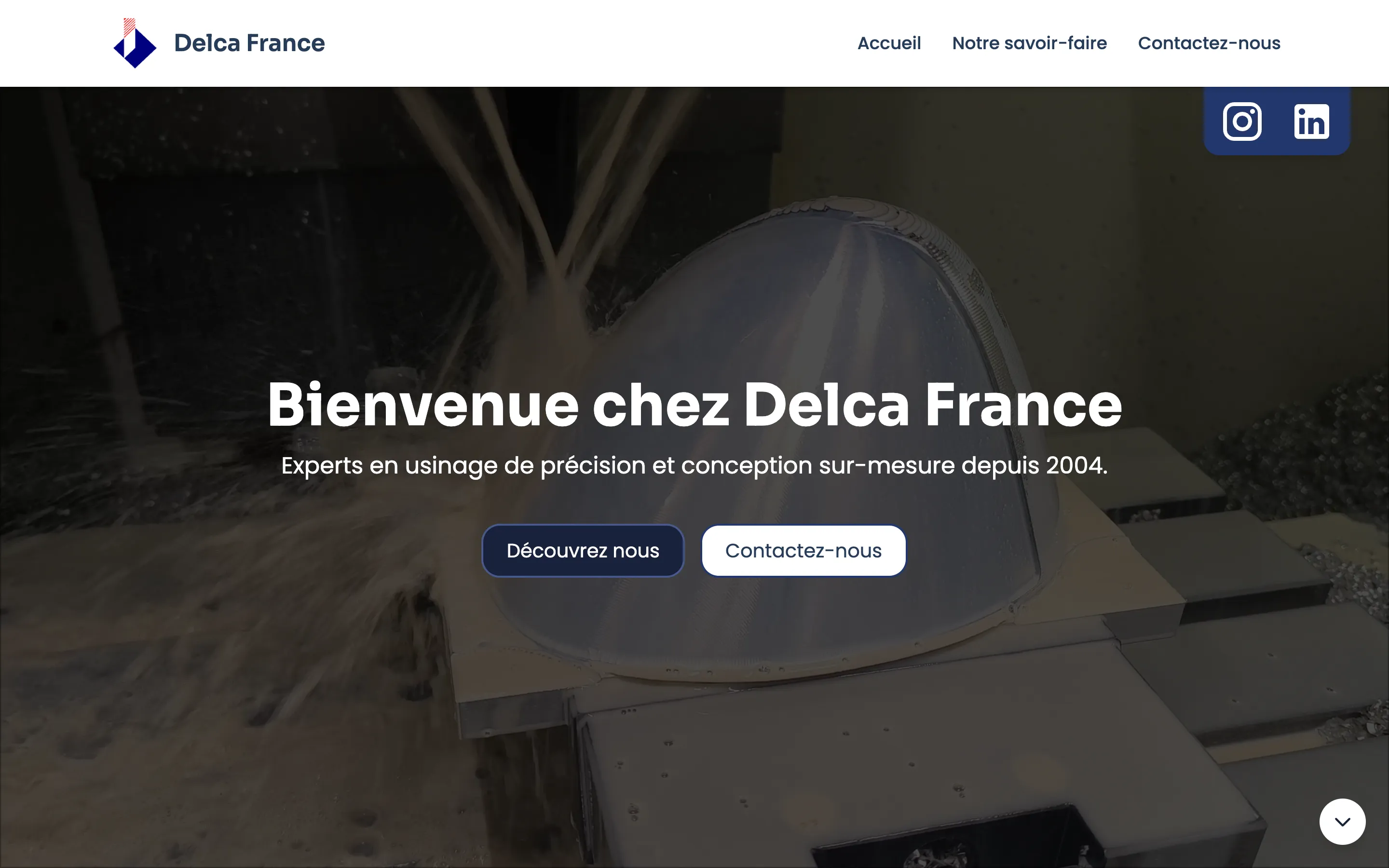 Capture du site delca-france.fr, page d'accueil